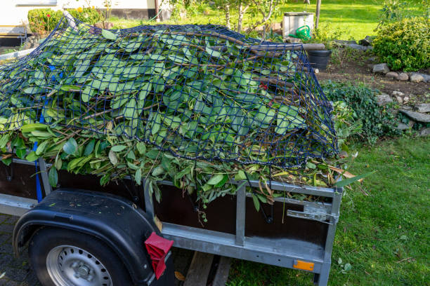 Best Moving and Downsizing Cleanouts  in Neptune City, NJ